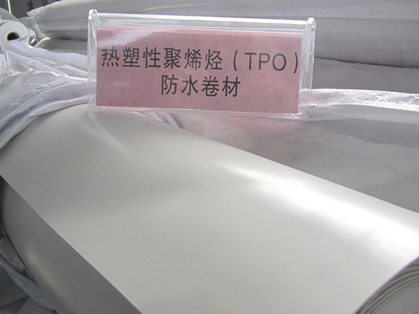 Thermoplastic polyolefin (TPO) waterproofing membrane